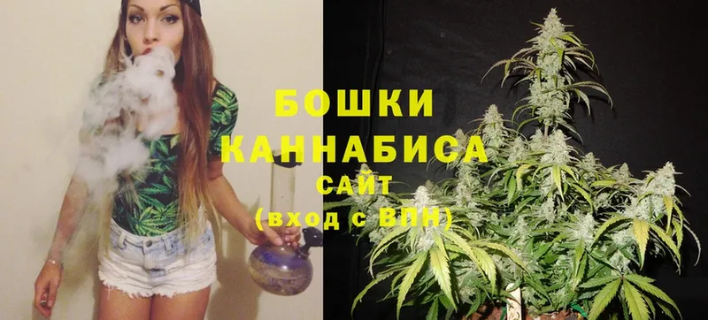 купить наркоту  Новомосковск  Бошки марихуана Ganja 